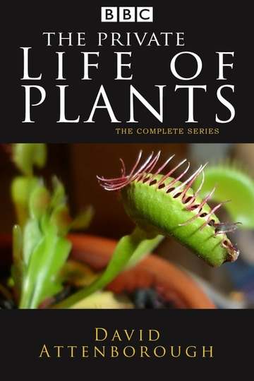 BBC: Невидимая жизнь растений / The Private Life of Plants (сериал)